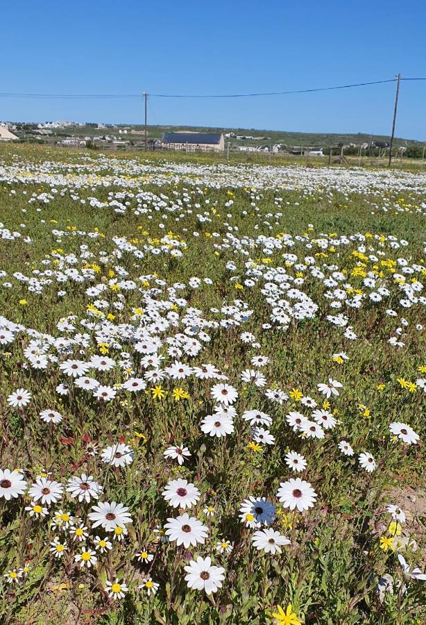 Aintree Farm Cottage Langebaan Exterior photo